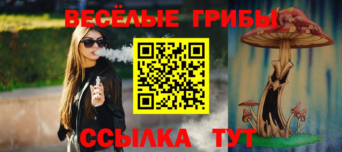 Псилоцибиновые грибы MAGIC MUSHROOMS Сызрань
