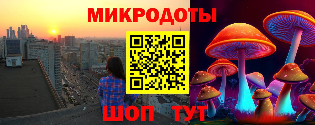 Псилоцибиновые грибы GOLDEN TEACHER  Галлюциногенные грибы MAGIC MUSHROOMS  Вход с VPN  Сызрань 